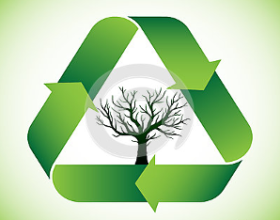 Poziom ponownego użycia i recyklingu odpadów, poziom składowania odpadów oraz poziom ograniczenia masy odpadów biodegradowalnych przekazywanych do składowania w Gminie Kartuzy