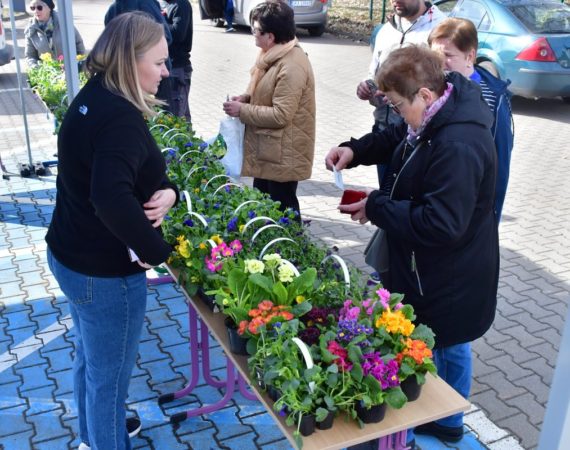 Finał akcji “Kwiaty za elektroodpady” już za nami!